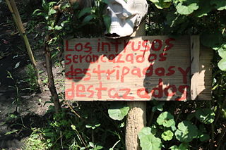 Advertencia que recibe a los visitantes de la Isla de las Muñecas