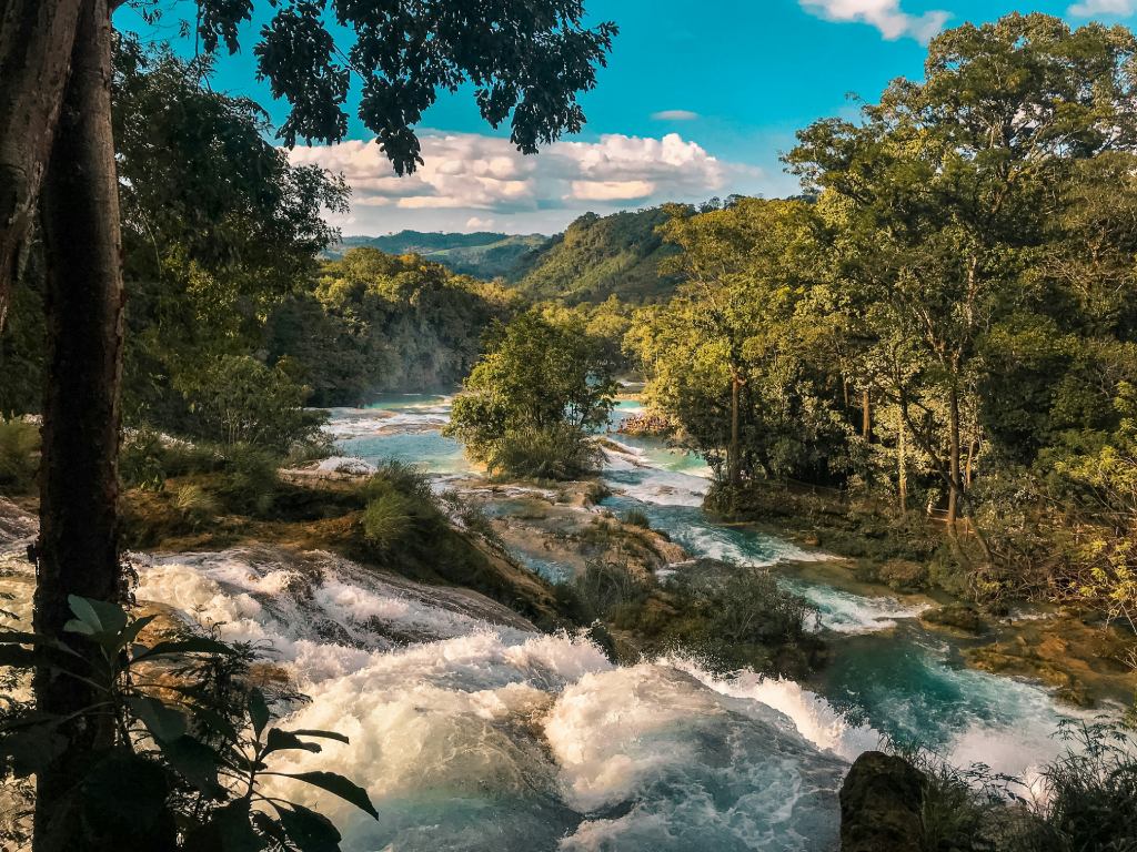 Área de protección de flora y fauna Cascadas de Agua Azul en Chiapas / Foto de Lorraine Mojica en Unsplash