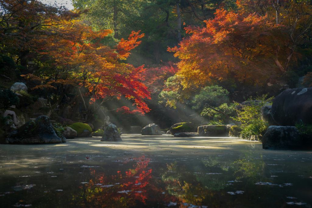 Tokumeien Garden