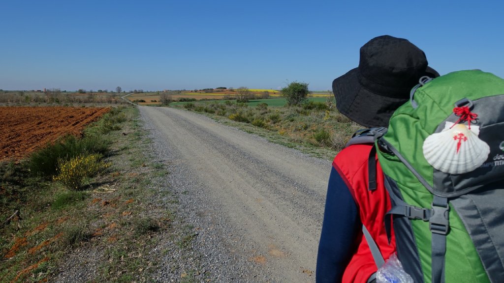 Peregrino del Camino de Santiago