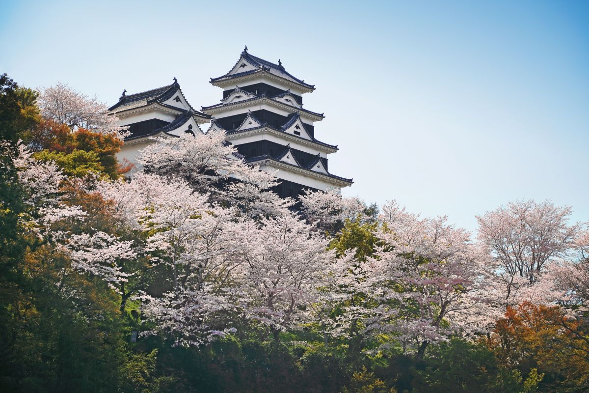 Castillo de Ozu