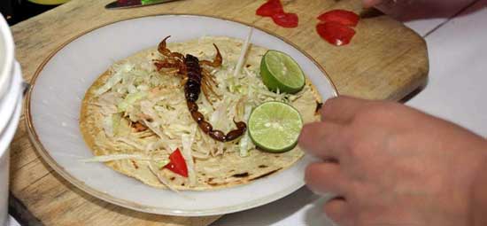 tacos-de-alacran