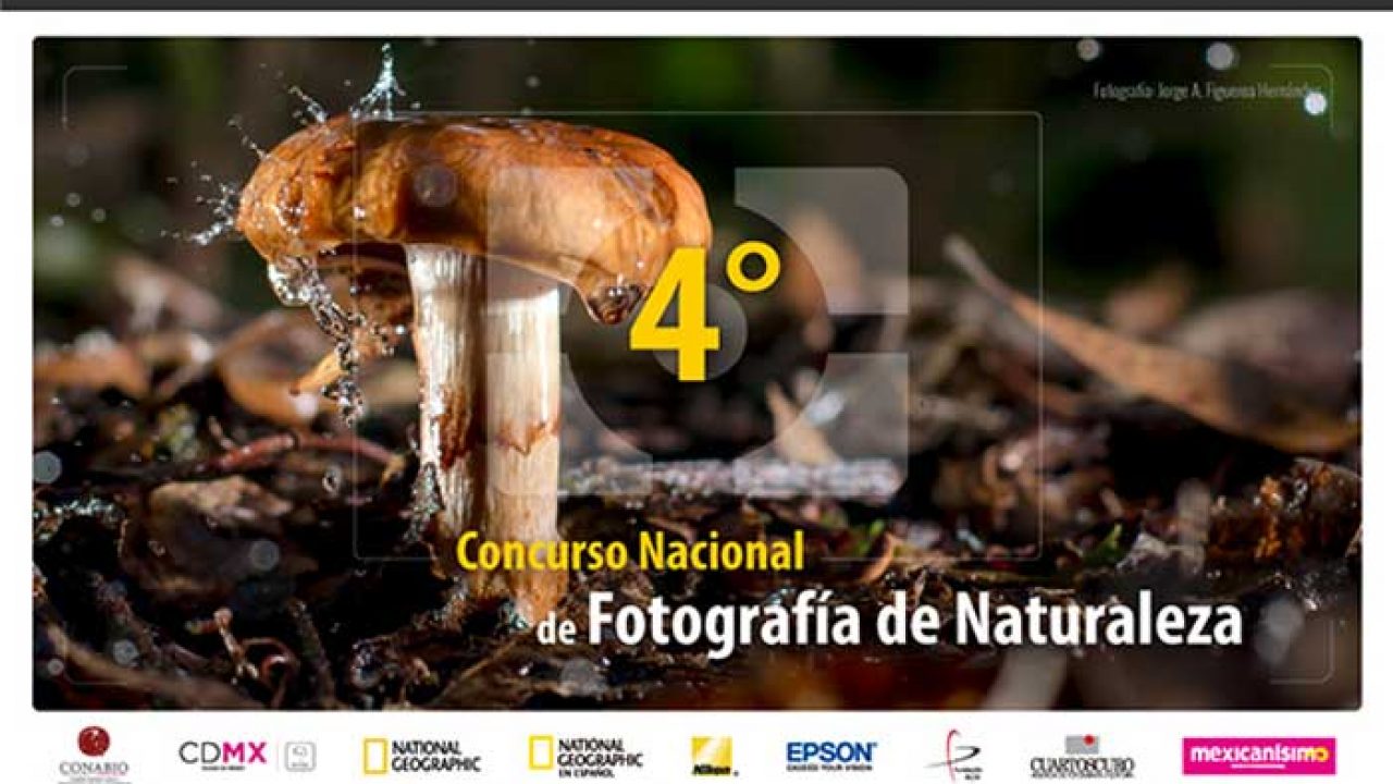 Convocan al Cuarto Concurso Nacional de Fotografía de Naturaleza - Entorno  Turístico