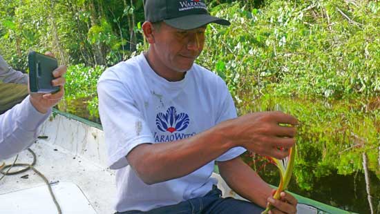 José Sequea es uno de los socios de WaraoWitü