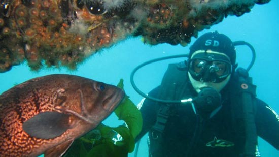deportes subacuáticos en Chubut