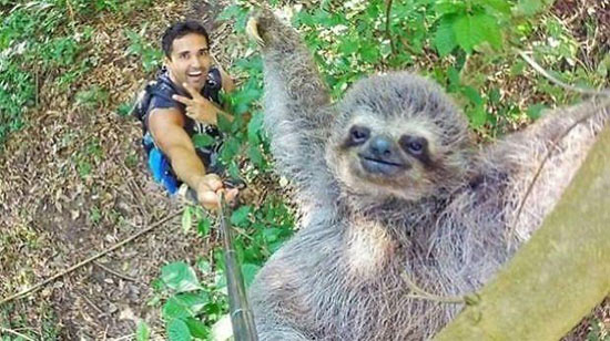Nicolas Huskar selfie Koala