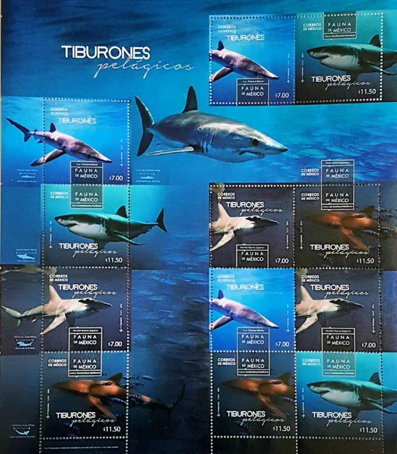 tiburones pelágicos estampillas