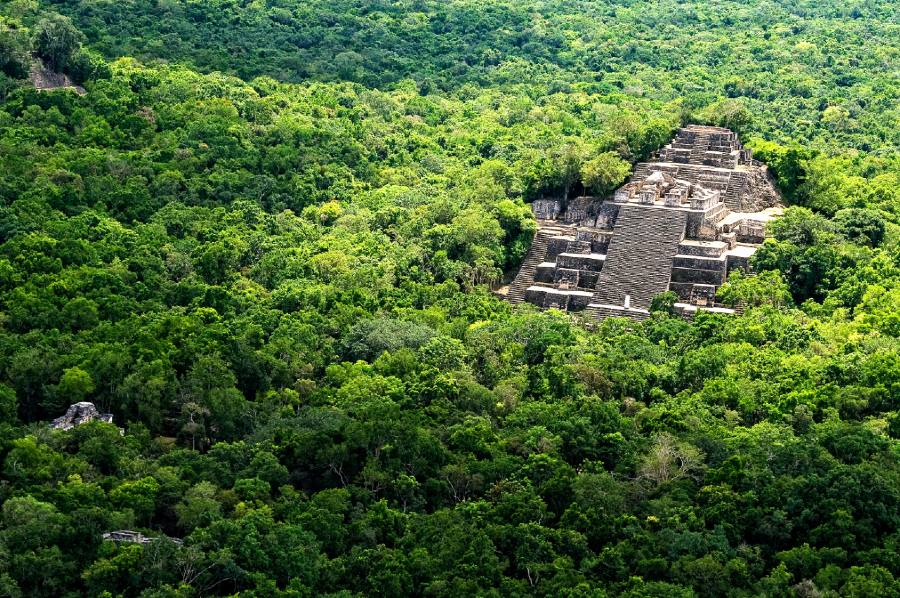 Zona arqueólogica de Calkmul en Campeche