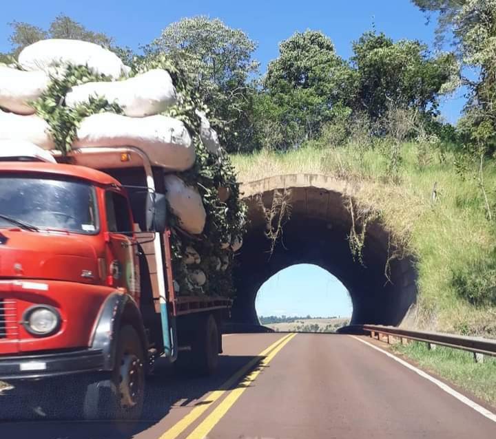 La Ruta de la Yerba Mate, camión con ponchadas hacia el secadero