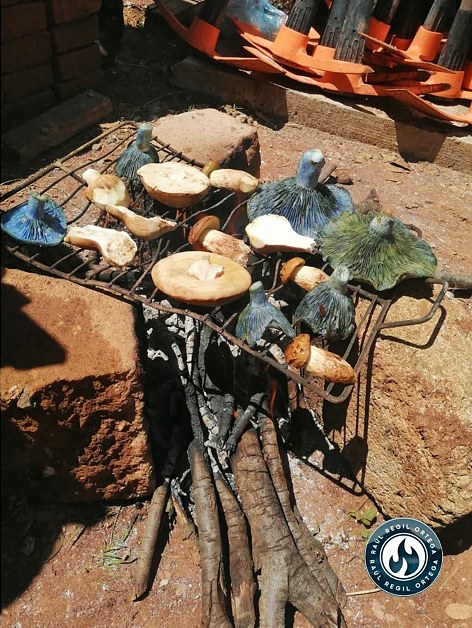 Cocinando hongos en Amealco