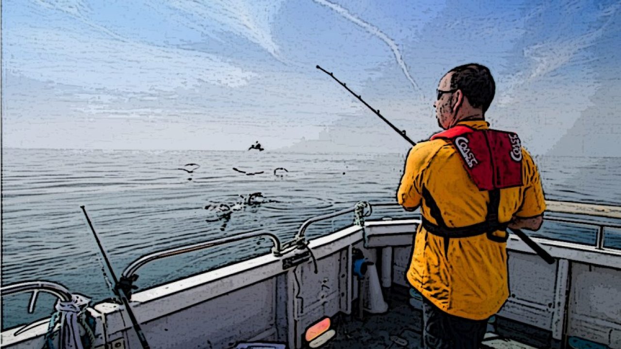 Cómo evitar perder Líneas de Pesca – PESCADOR DEPORTIVO