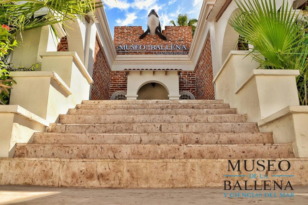 Museo de La Ballena y Ciencias del Mar, Baja California Sur