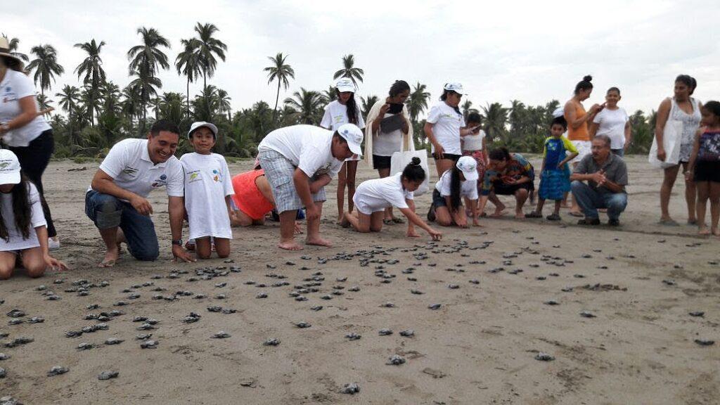 Liberación de tortugas en playas de Michoacán