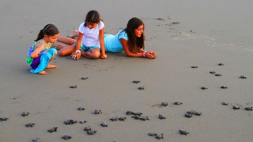 Niños liberación de tortugas en playas de Michoacán
