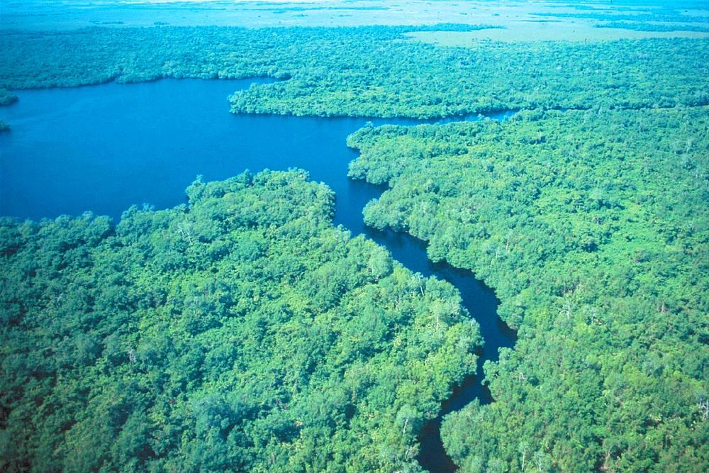 Reserva de la biósfera Pantanos de Centla