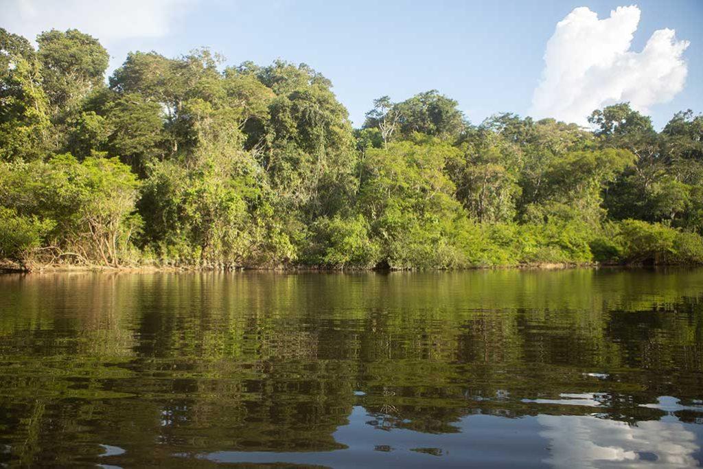Río Amazonas