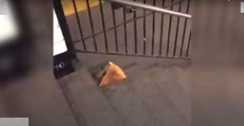 Rata con una rebanada de pizza en Nueva York
