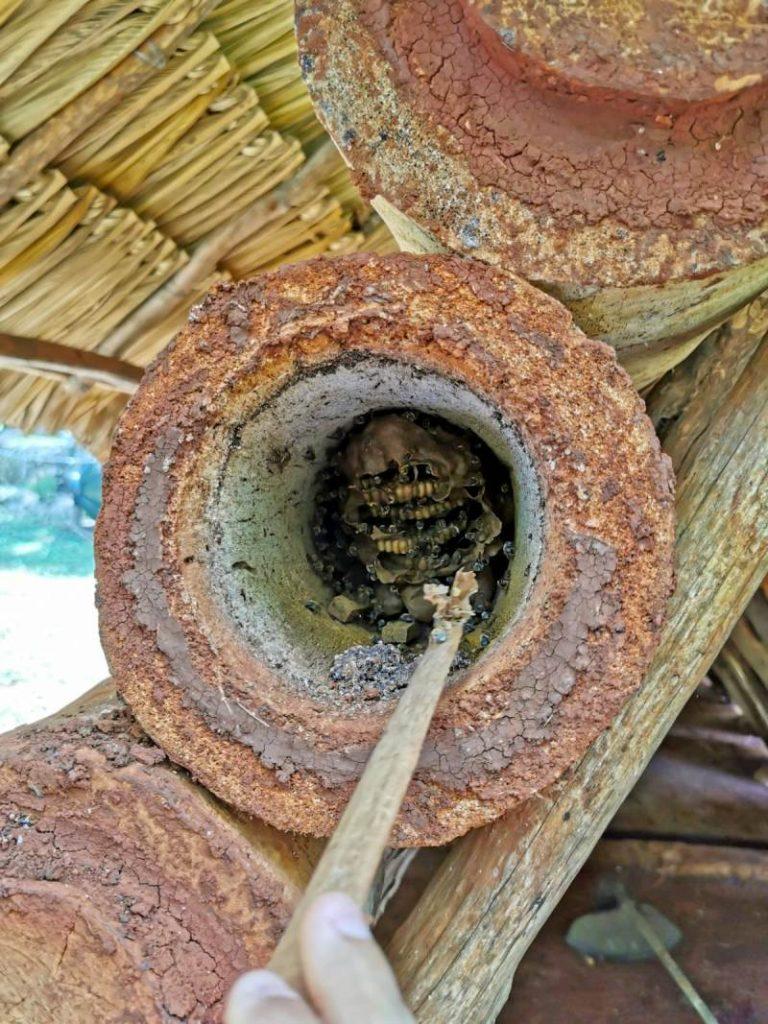 Colmena de abejas en Maní