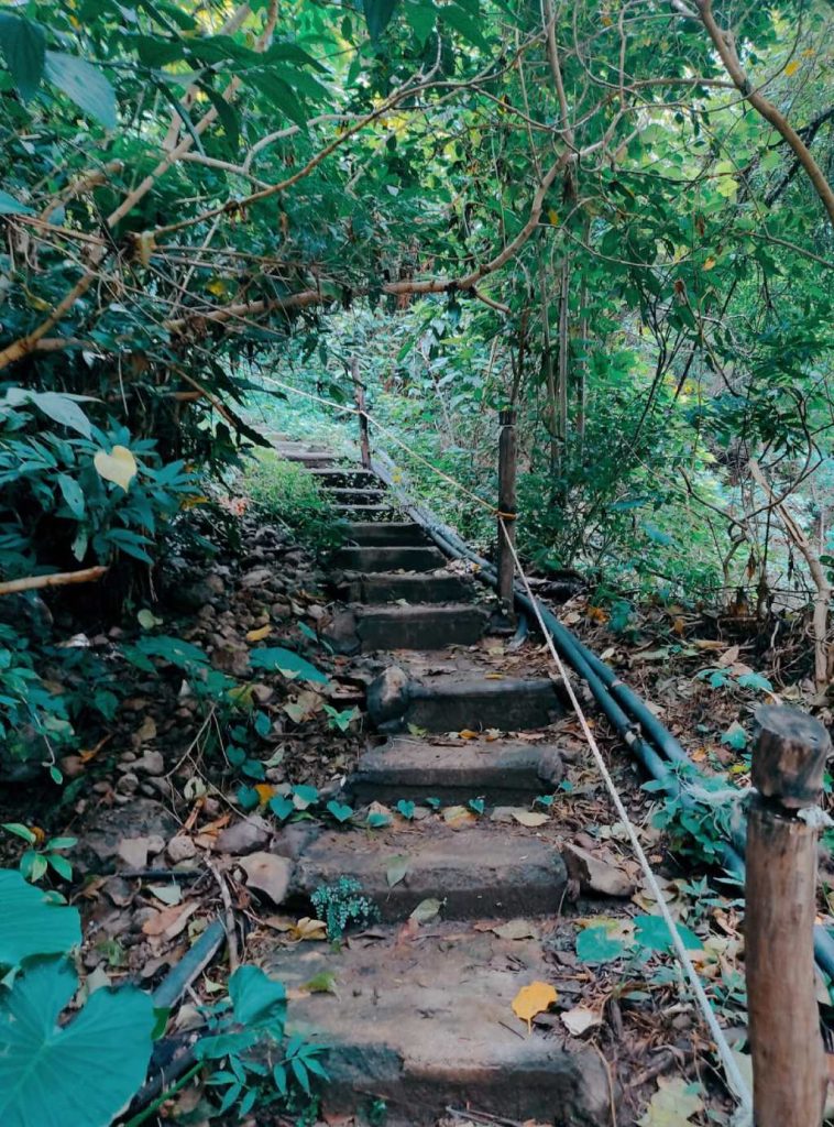 Caminos en el Hotel Agua Blanca