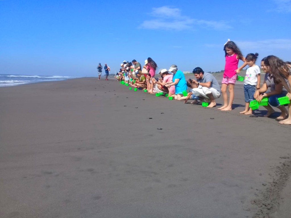 Liberación de tortugas en el tortugario de Cuyutlán